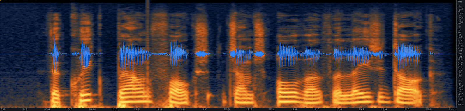Raw Audio Spectrogram